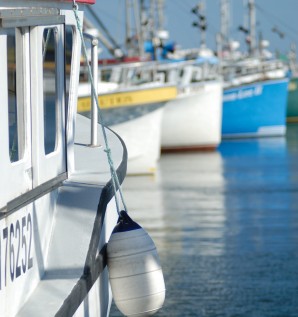 L'industrie de la pêche