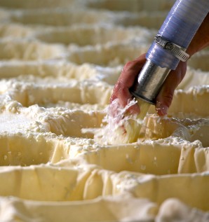 Authentic Cheese-Making Experience