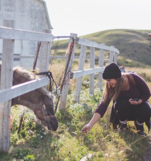 Visites à la ferme