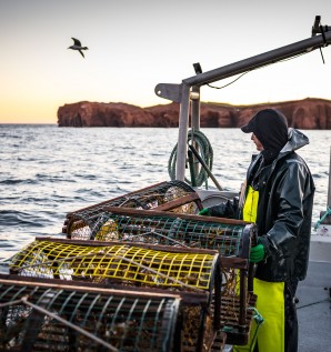 Excursions de pêche en mer