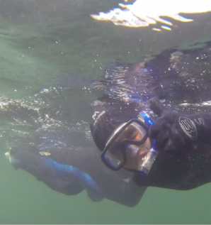 Diving