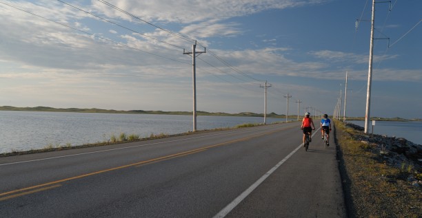 Bike Rental