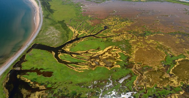 Preserving the landscape