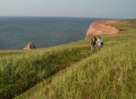 Randonnée à l'Île Brion