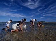 Clam fishing