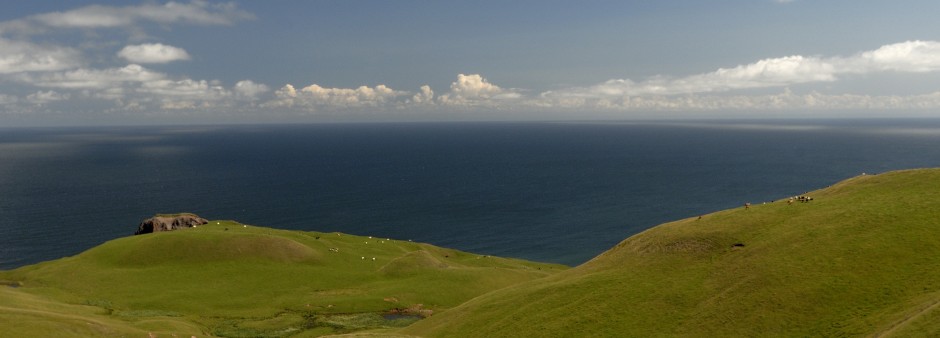 Entry Island