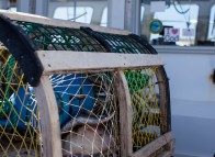 Lobster fishing - Îles de la Madeleine