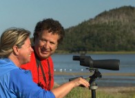 Ornithologie - Îles de la Madeleine