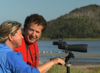 Birdwatching - Les Îles de la Madeleine