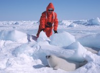 Seal Watching on the Îles de la Madeleine