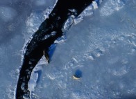 Ice floes around the Îles de la Madeleine