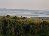 Flore des Îles de la Madeleine