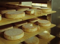 Fromagerie Pied-de-Vent