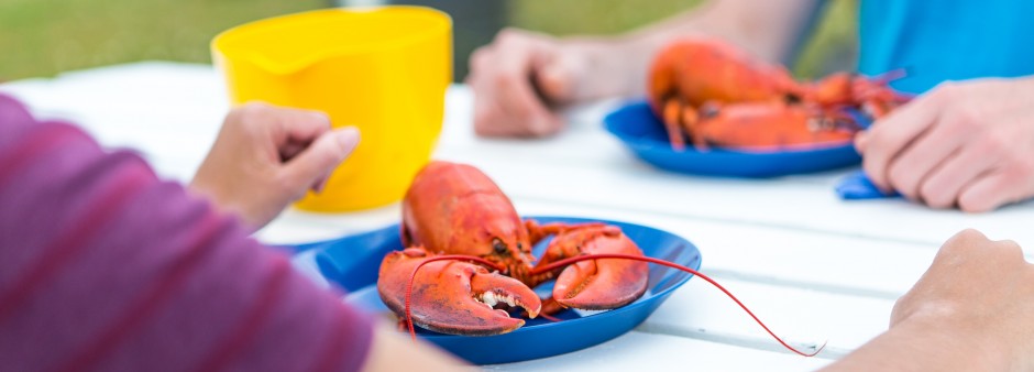 Le homard des Îles de la Madeleine