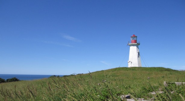 Excursion à l'Île Brion