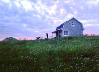 Îles de la Madeleine, coucher de soleil rose, mauve, maison, chien, Havre-aux-Maisons