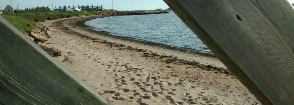 Magdalen Islands, beach, sea, grass