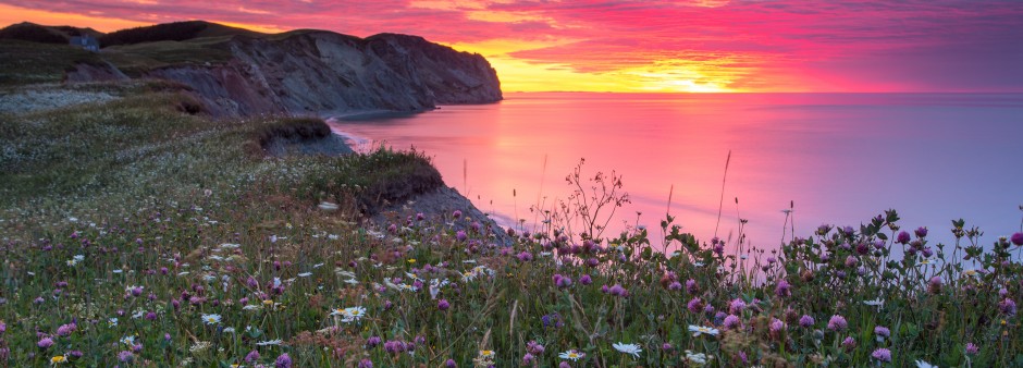Îles de la Madeleine, #fousdesiles, falaise, fleurs, coucher de soleil, mer 