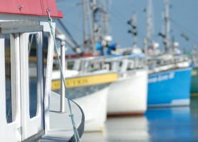 L'industrie de la pêche