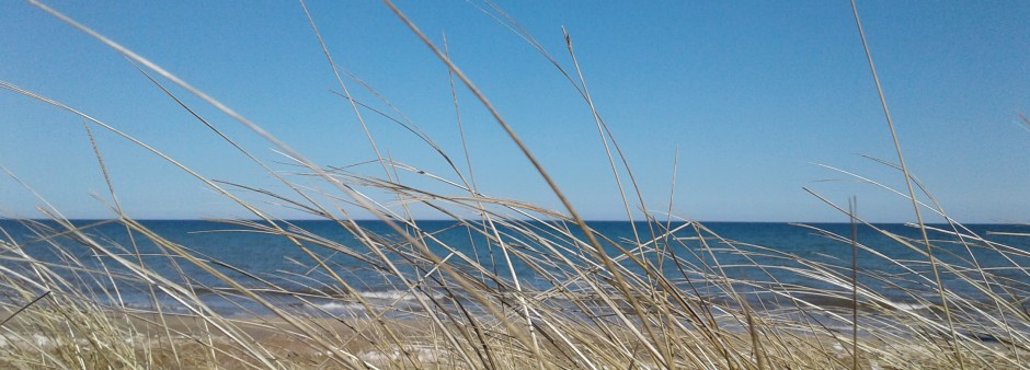 Îles de la Madeleine, hay dune, beach, sea, sky 