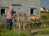 Préparation des casiers à homard aux Îles de la Madeleine