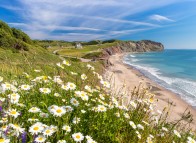 Îles de la Madeleine Flora