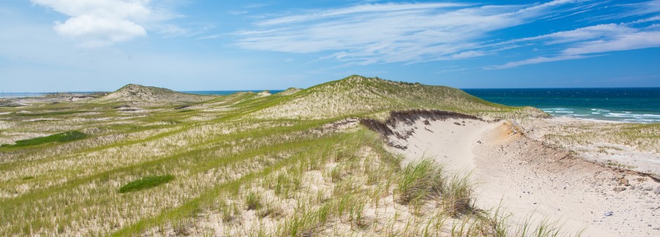 La dune 