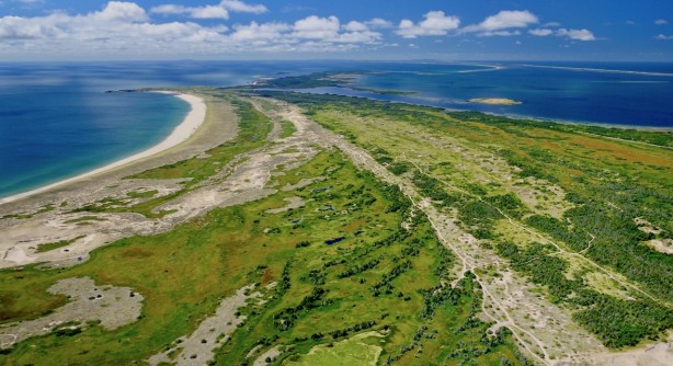 Flore des Îles de la Madeleine