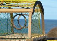Cages à homard