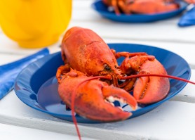 Homard
