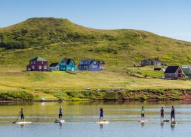 Stand Up Paddle (SUP)