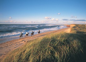 Équitation sur la plage
