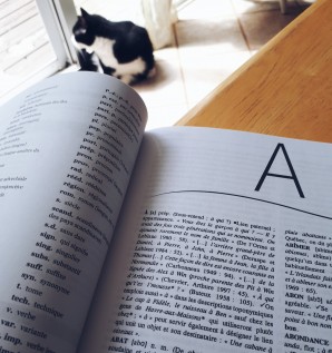 Extrait du Dictionnaire des régionalismes des îles de la Madeleine, Chantal Naud, Québec Amérique