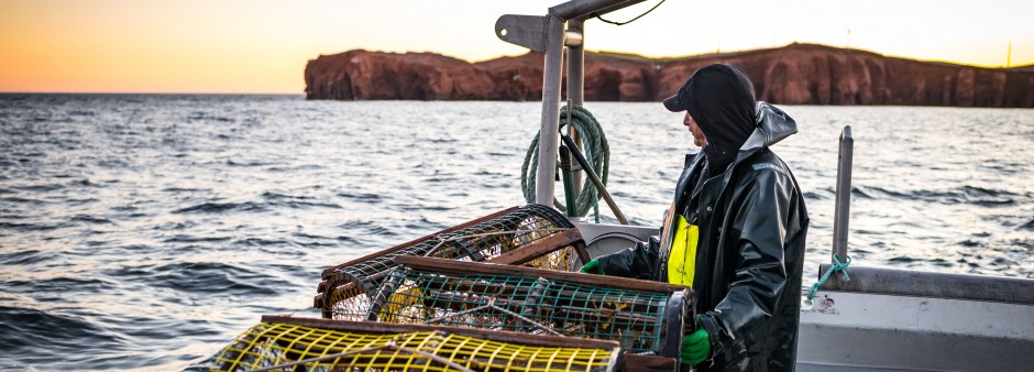 Excursions de pêche en mer