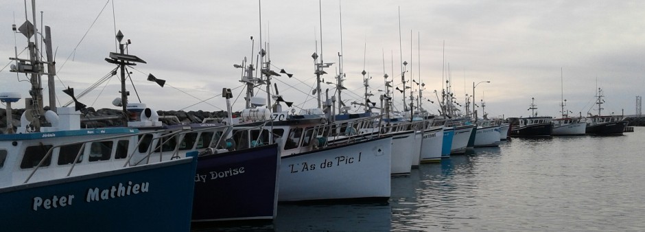 Bateaux amarrés aux Îles de la Madeleine