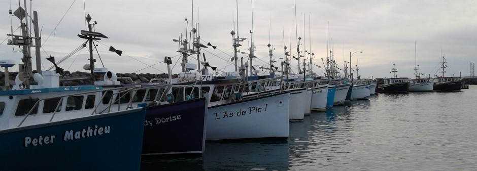 Boats moored in the Magdalen Islands