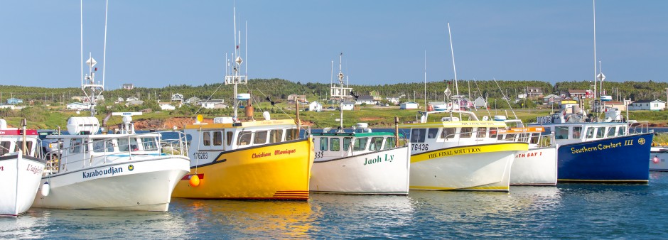 Bateaux de pêche au port de Grande-Entrée