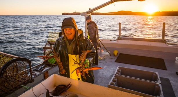 Lobster fishermen