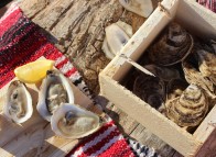 Oysters from the Îles de la Madeleine