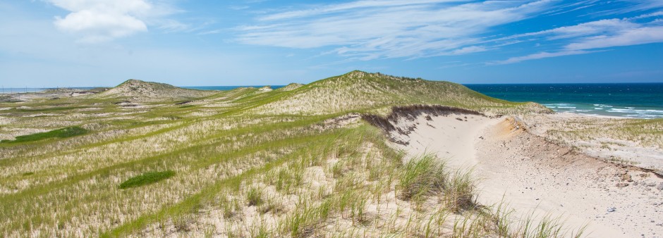 Dune, plage et mer, le ciel est bleu et le sable est blond