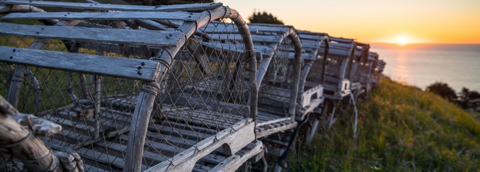 Cages à homard