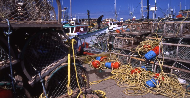 Lobster cages on the wharf the day before the cages are launched