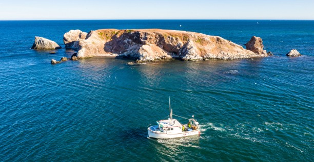 Bateau de pêche aux homards à l'Île aux Goélands