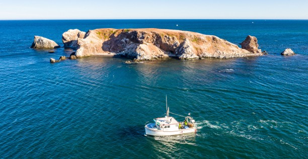 Lobster fishing boat at Île aux Goélands