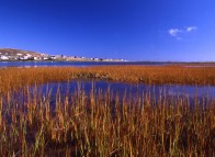 Lagune de Grosse-Île