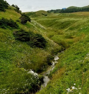 The path that leads to the top of the Butte Ronde, with a small stream