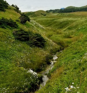 Le sentier qui mène au sommet de la Butte Ronde, avec un petit ruisseau