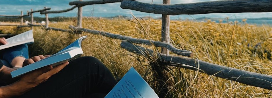 Reading near a fence with a sea view