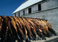 Smoked herring in front of the smokehouse