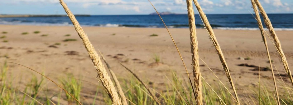 Beach in the Îles de la Madeleine